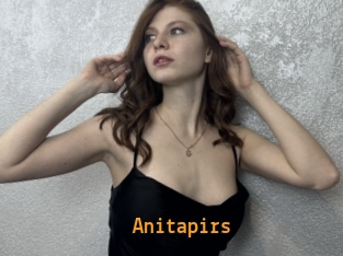 Anitapirs