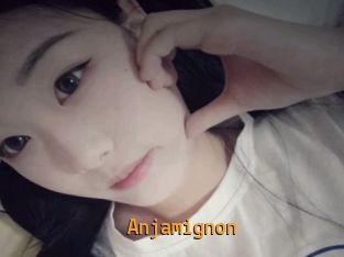 Anjamignon
