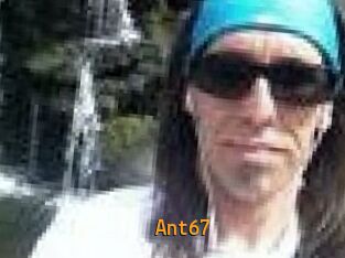 Ant67