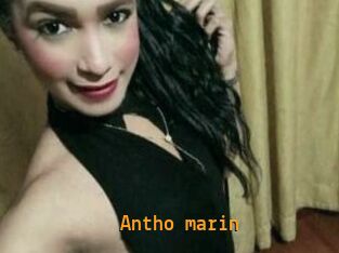 Antho_marin