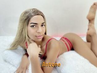 antone Sexcam Portal