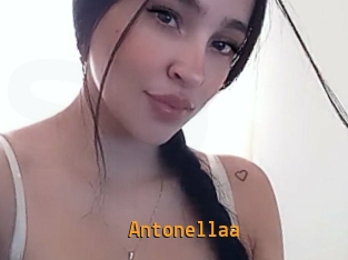 antonellaa Sexcam Portal