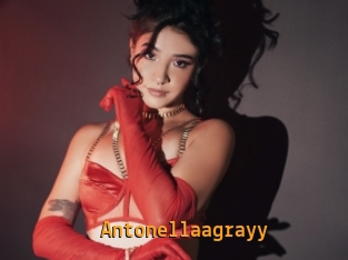Antonellaagrayy