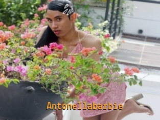 Antonellabarbie