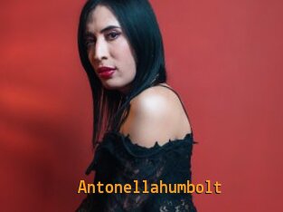 Antonellahumbolt