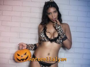 Antonellalyam