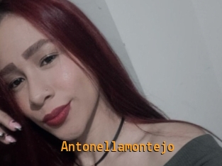 Antonellamontejo