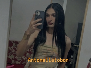 Antonellatobon