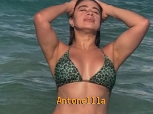 Antonellla