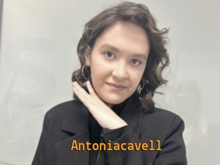 Antoniacavell