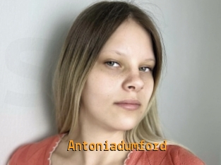 Antoniadumford