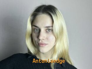 Antoniaedge