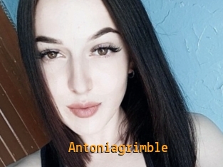 Antoniagrimble