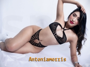 Antoniamorris