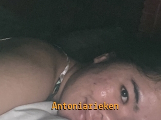 Antoniarieken