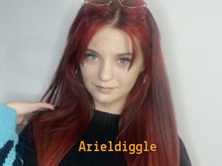 Arieldiggle