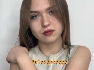 Arleighbodge