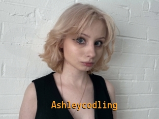 Ashleycodling