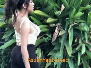 Asianmapleleaf