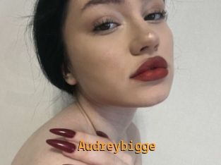 Audreybigge
