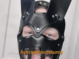 averagehousebunny Sexcam Portal