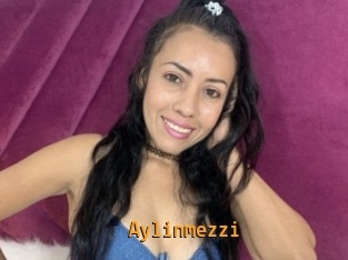 Aylinmezzi