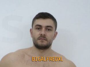 BIGALFREDXL