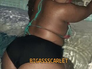 BIGASSSCARLET