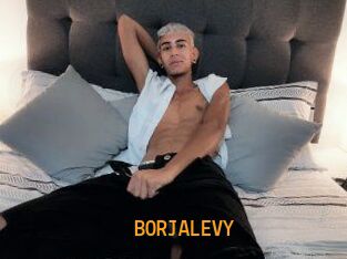 BORJALEVY