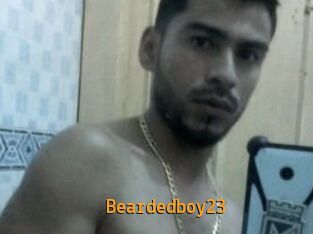 Beardedboy23