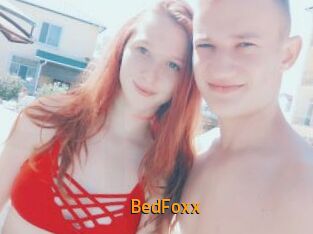 BedFoxx