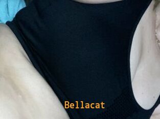 Bella_cat