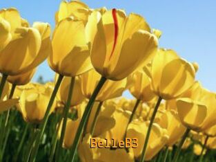 BelleB3