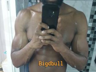 Bigdbull