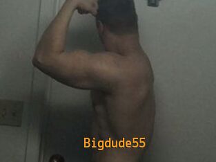 Bigdude55