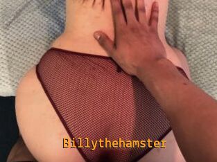 Billythehamster