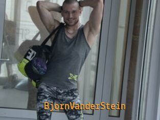 BjornVanderStein