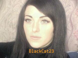 BlackCat23