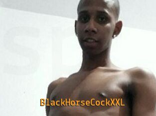 BlackHorseCockXXL