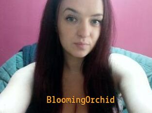 BloomingOrchid