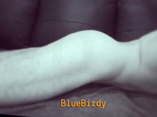 BlueBirdy