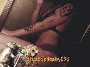 Bluebirdbaby096