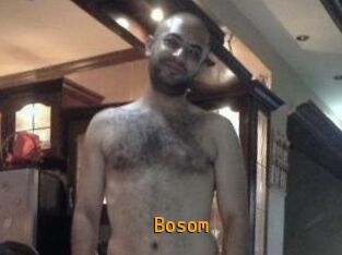 Bosom