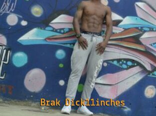 Brak_Dick11inches