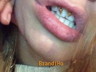 BrandiHo