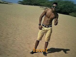 BruceZ