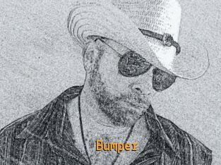 Bumper