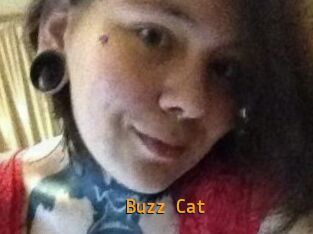 Buzz_Cat