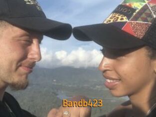 Bandb423