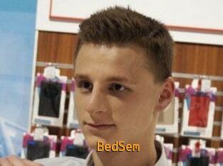 BedSem